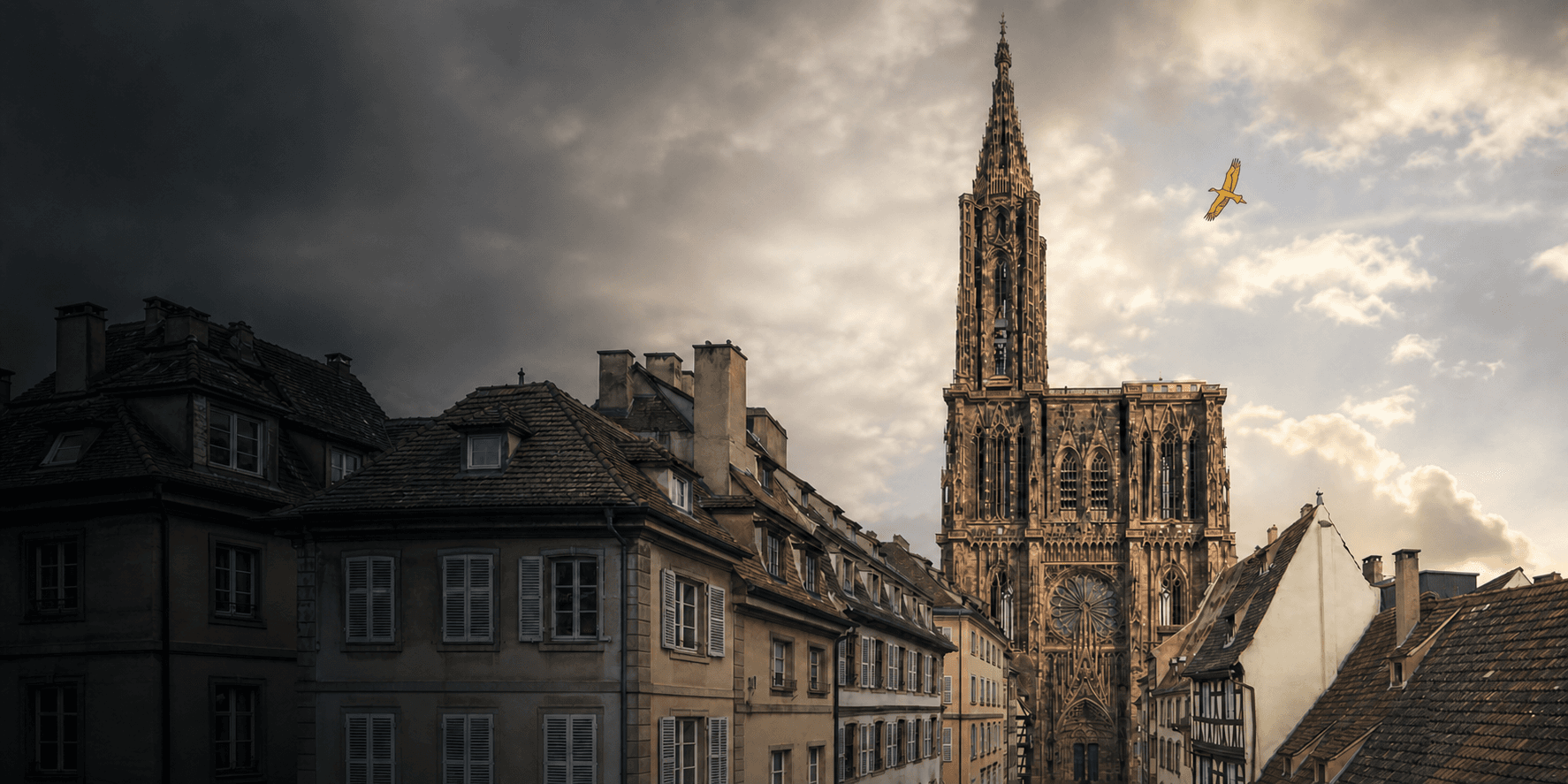 Vue aérienne de Strasbourg utilisée pour illustrer une inspection par drone